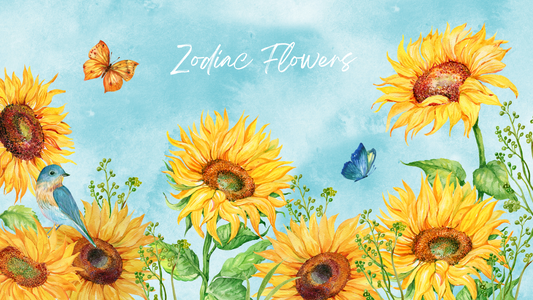 Zodiac Flowers: Discover Your Celestial Floral Match with Winny Flower!